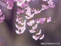 同兴万点（北京）网络技术有限公司天津分公司