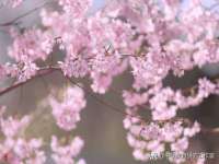 同兴万点（北京）网络技术有限公司天津分公司