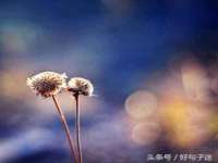 同兴万点（北京）网络技术有限公司天津分公司