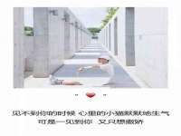 同兴万点（北京）网络技术有限公司天津分公司