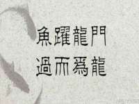 同兴万点（北京）网络技术有限公司天津分公司