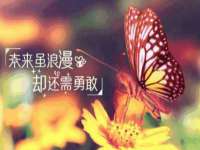 同兴万点（北京）网络技术有限公司天津分公司