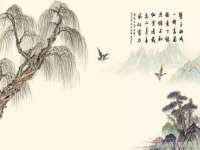 同兴万点（北京）网络技术有限公司天津分公司