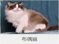同兴万点（北京）网络技术有限公司天津分公司
