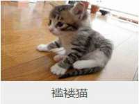 同兴万点（北京）网络技术有限公司天津分公司