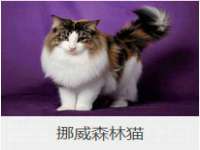 同兴万点（北京）网络技术有限公司天津分公司