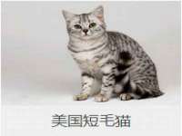 同兴万点（北京）网络技术有限公司天津分公司