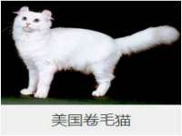 同兴万点（北京）网络技术有限公司天津分公司