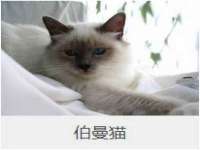 同兴万点（北京）网络技术有限公司天津分公司