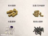 同兴万点（北京）网络技术有限公司天津分公司