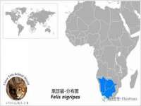 同兴万点（北京）网络技术有限公司天津分公司