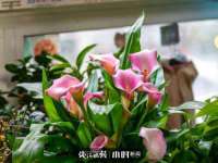 同兴万点（北京）网络技术有限公司天津分公司