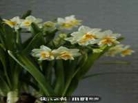同兴万点（北京）网络技术有限公司天津分公司