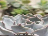 同兴万点（北京）网络技术有限公司天津分公司