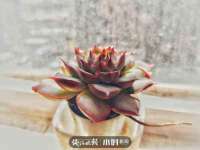 同兴万点（北京）网络技术有限公司天津分公司