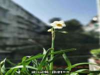 同兴万点（北京）网络技术有限公司天津分公司