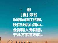 同兴万点（北京）网络技术有限公司天津分公司