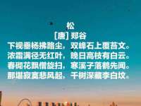 同兴万点（北京）网络技术有限公司天津分公司