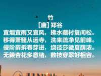 同兴万点（北京）网络技术有限公司天津分公司