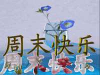 同兴万点（北京）网络技术有限公司天津分公司