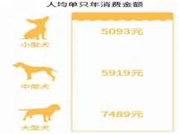 同兴万点（北京）网络技术有限公司天津分公司