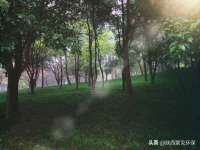 同兴万点（北京）网络技术有限公司天津分公司