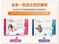 同兴万点（北京）网络技术有限公司天津分公司