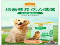 同兴万点（北京）网络技术有限公司天津分公司