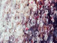 同兴万点（北京）网络技术有限公司天津分公司