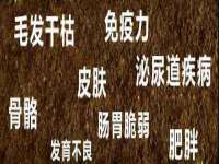 同兴万点（北京）网络技术有限公司天津分公司