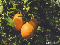 同兴万点（北京）网络技术有限公司天津分公司