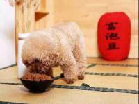 同兴万点（北京）网络技术有限公司天津分公司
