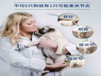 同兴万点（北京）网络技术有限公司天津分公司