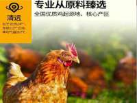 同兴万点（北京）网络技术有限公司天津分公司
