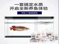 同兴万点（北京）网络技术有限公司天津分公司