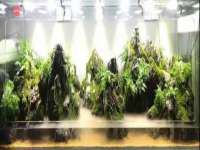 同兴万点（北京）网络技术有限公司天津分公司
