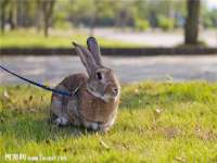 同兴万点（北京）网络技术有限公司天津分公司