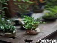 同兴万点（北京）网络技术有限公司天津分公司