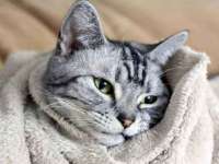 同兴万点（北京）网络技术有限公司天津分公司