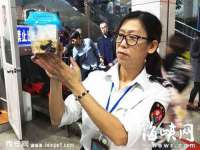 同兴万点（北京）网络技术有限公司天津分公司